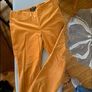 Golden velvet skinny pants by Paperwhites